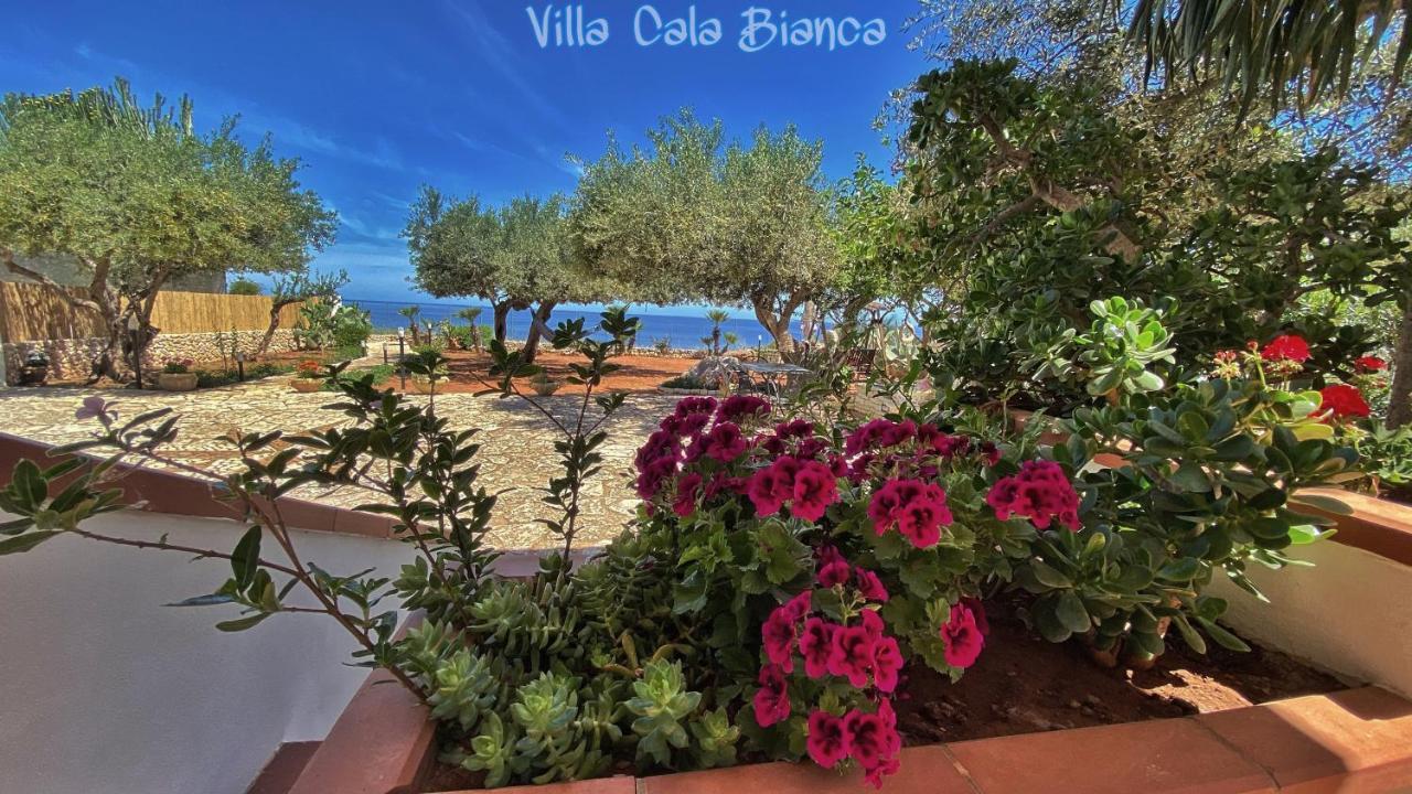 Villa Cala Bianca Castellammare del Golfo Eksteriør bilde